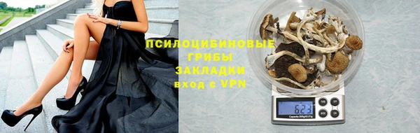 стаф Покров