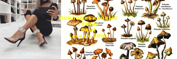 стаф Покров