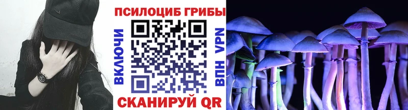 магазин    Ардатов  Псилоцибиновые грибы MAGIC MUSHROOMS 